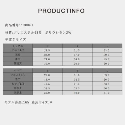 画像3: シャーリングチップとインナー着きスカパンセット水着